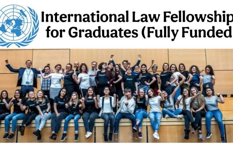 International Law Fellowships for Graduates in 2025 (Fully Funded & Prestigious)