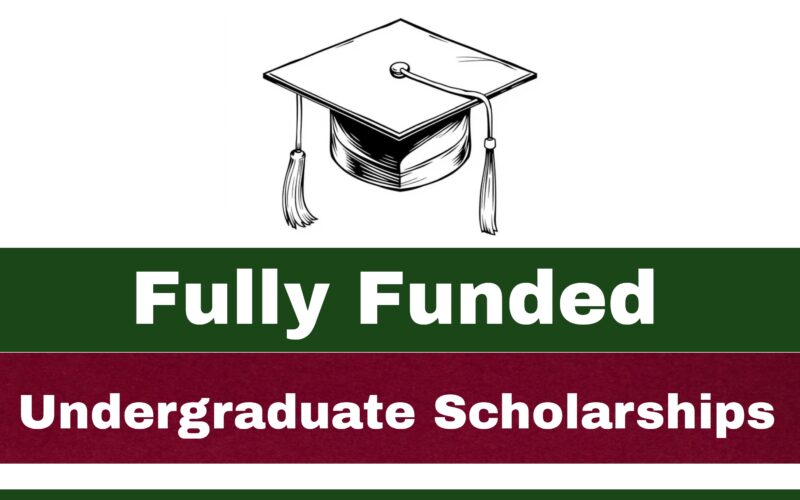 Fully Funded Undergraduate Scholarships for Students from Developing Countries
